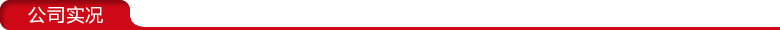 公司實(shí)況 公司實(shí)況